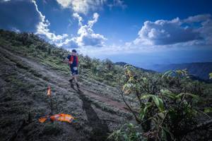 BIB: 5033
                            <button type="button" onclick="openModal(15955435)" class="btn btn-primary btn-sm float-right btn-popup" data-toggle="modal" data-target=".modal-high-quality">
                        <i class="fas fa-shopping-cart"></i> Add to Cart
                    </button>
                                            <button type="button" onclick="isThisMe(15955435, true)" class="btn btn-success btn-sm float-right btn-popup btn-isme hidden" data-toggle="tooltip" data-placement="bottom" title="นี่คือรูปของคุณใช่ไหม คลิกที่นี่เพื่อเอาเข้าอัลบั้ม">
                        <i class="fas fa-plus"></i> Add to album
                    </button>
                    <button type="button" onclick="isThisMe(15955435, false)" class="btn btn-warning btn-sm float-right btn-popup btn-isnotme hidden">
                        <i class="fas fa-ban"></i> Remove from album
                    </button>